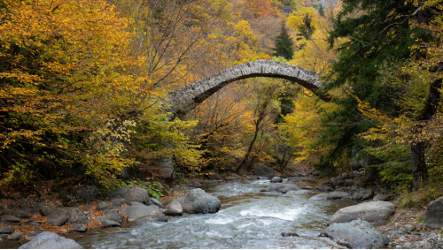 Brücke in einem herbstlichen Wald darunter ein Bach